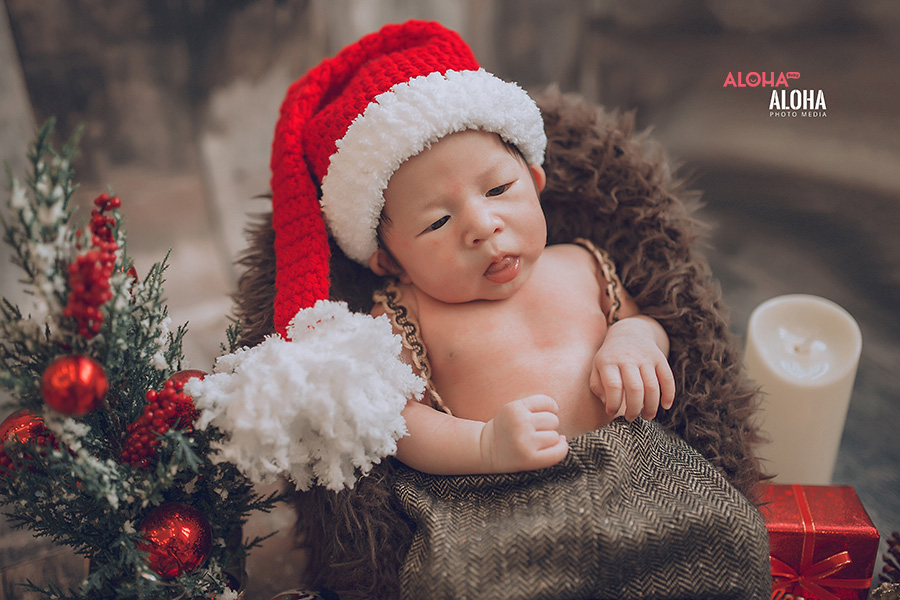 album ảnh giáng sinh newborn